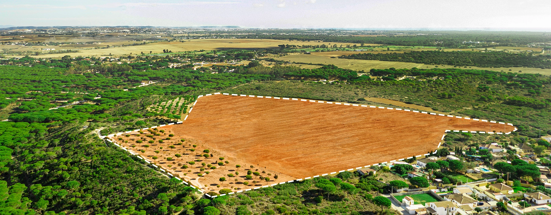 Arsa